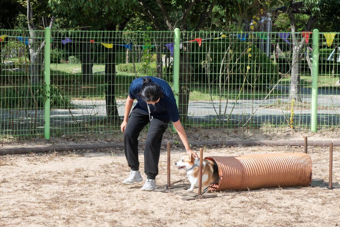 20240928_오륜대 신선학교-펫(PET)스티벌_35.jpg