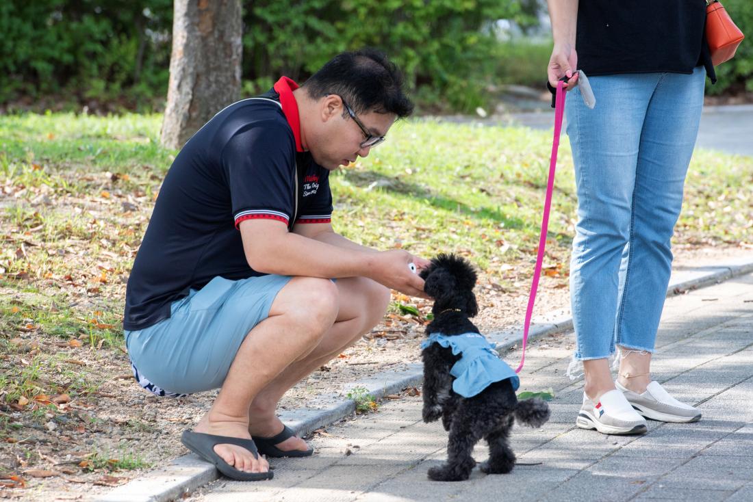 20240928_오륜대 신선학교-펫(PET)스티벌_16.jpg