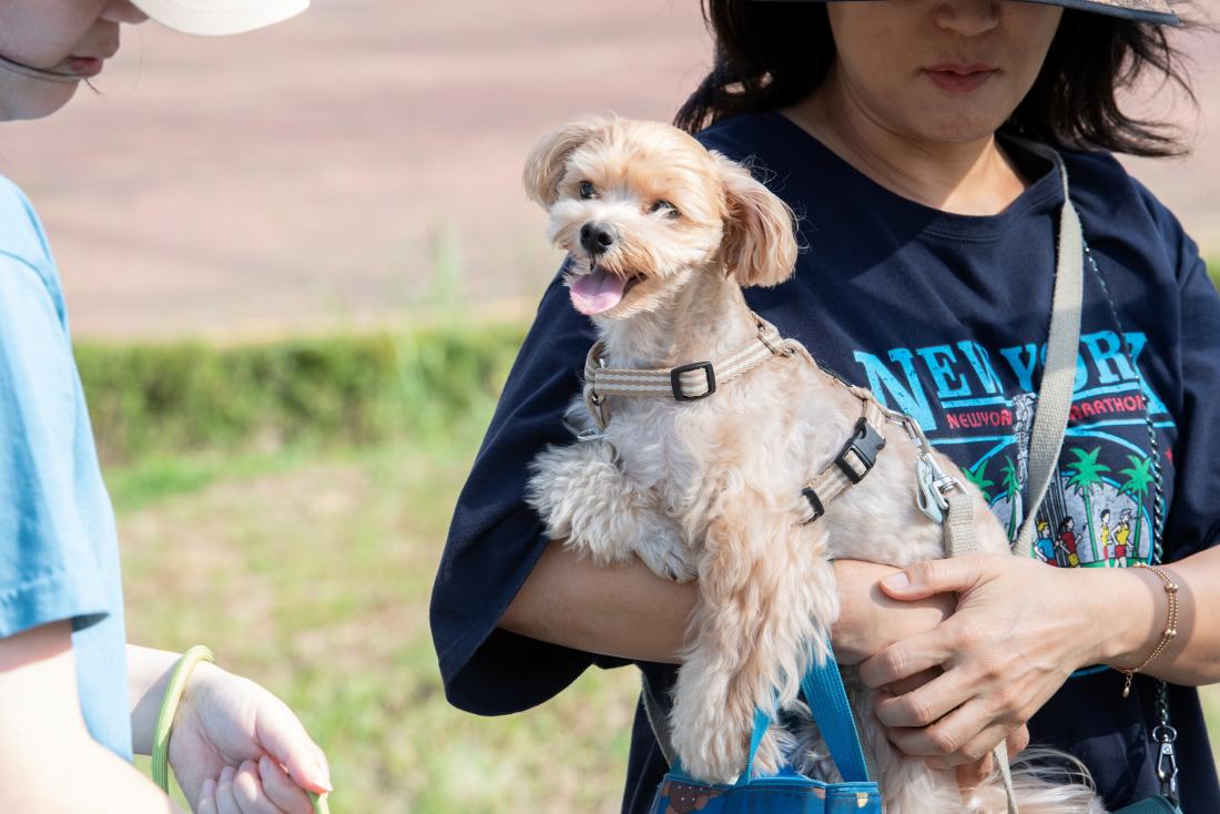 20240928_오륜대 신선학교-펫(PET)스티벌_40.jpg