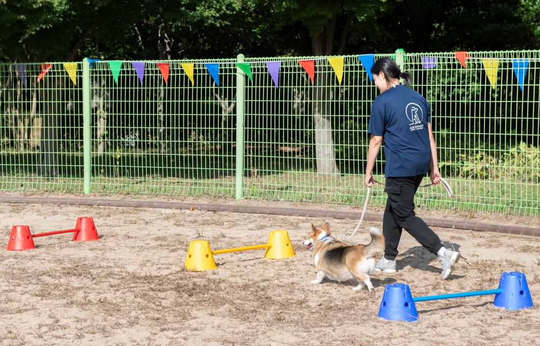 20240928_오륜대 신선학교-펫(PET)스티벌_5.jpg