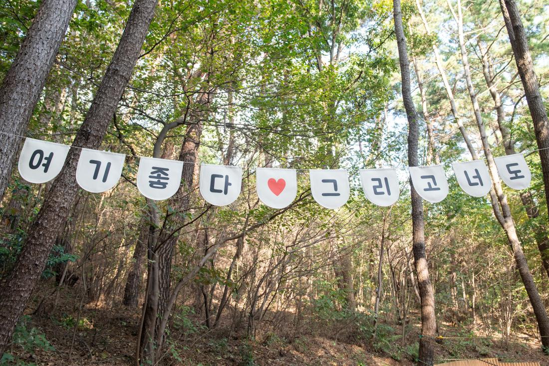 20241026_회동호 가을빛 축제_35.jpg