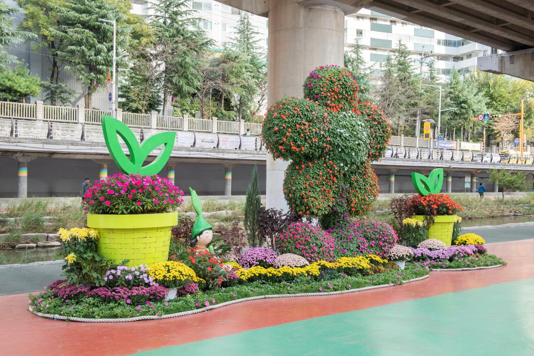 20241029_온천천 가을꽃정원_14.jpg
