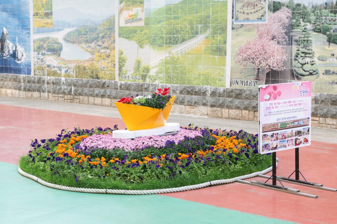 20241029_온천천 가을꽃정원_11.jpg