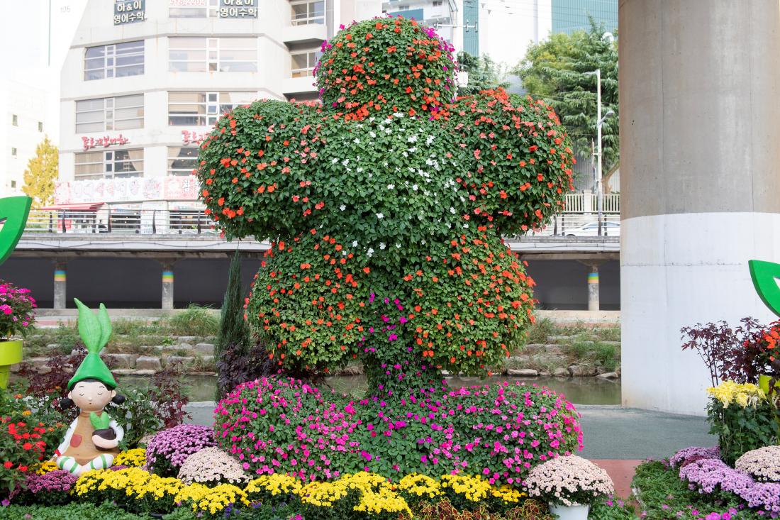 20241029_온천천 가을꽃정원_15.jpg