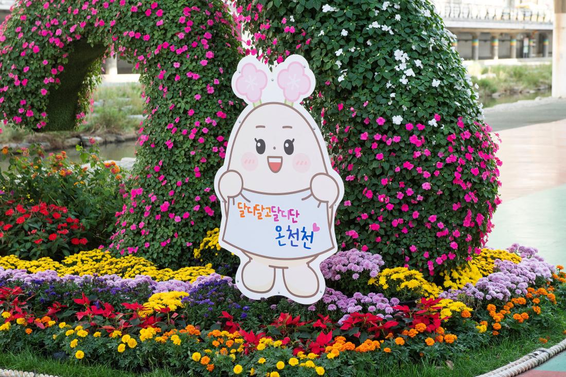 20241029_온천천 가을꽃정원_4.jpg