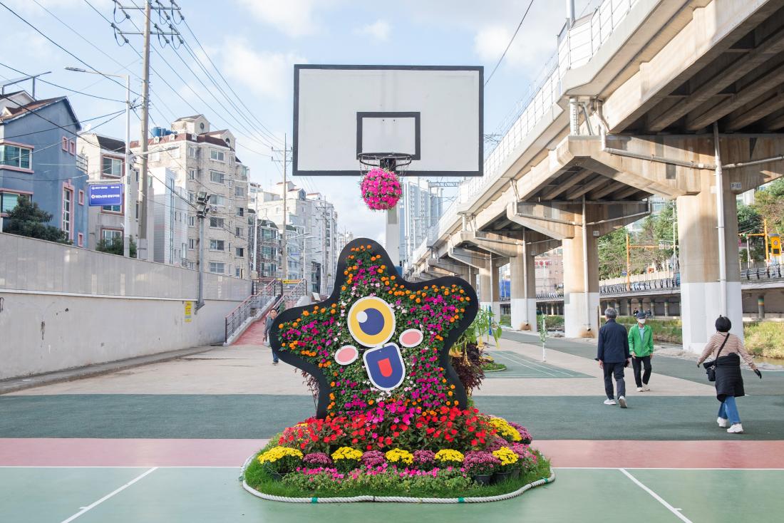 20241029_온천천 가을꽃정원_7.jpg