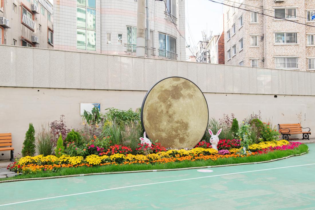 20241029_온천천 가을꽃정원_26.jpg