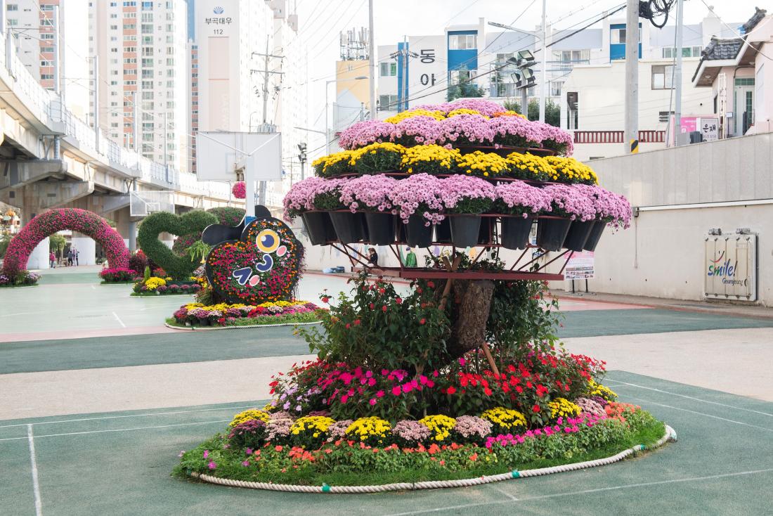 20241029_온천천 가을꽃정원_30.jpg