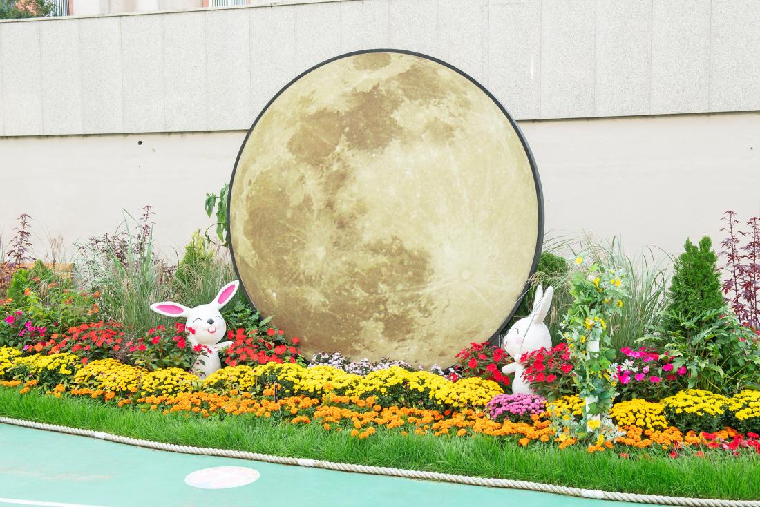 20241029_온천천 가을꽃정원_24.jpg