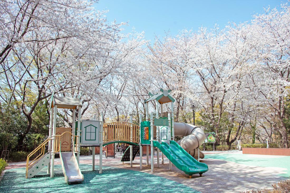 20250407_봄 풍경_5.jpg