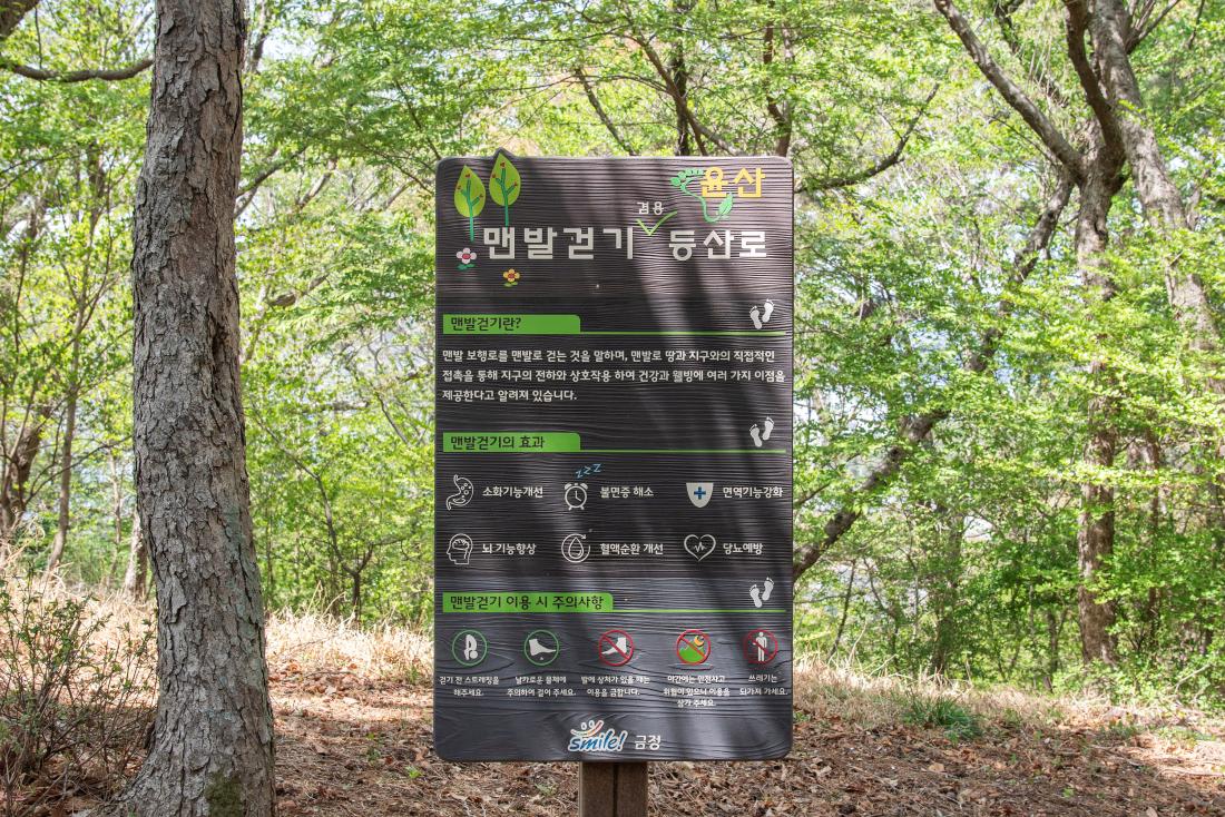 20250415_윤산 전망대_13.jpg