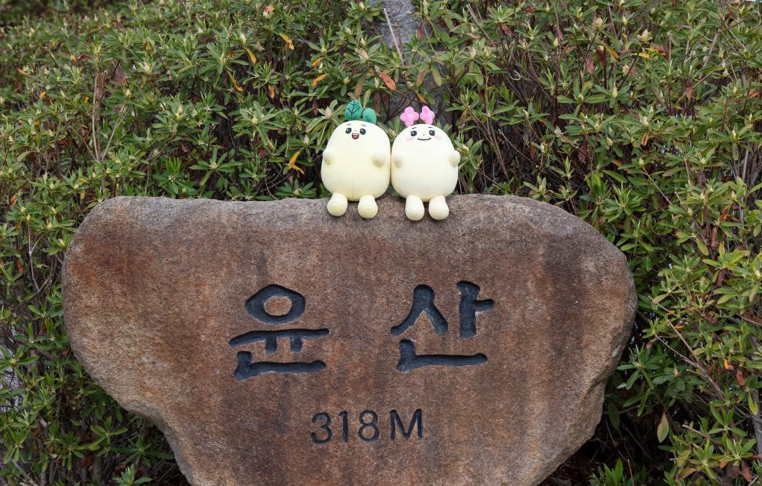 20250415_윤산 전망대_5.jpg