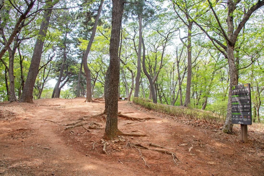 20250415_윤산 전망대_14.jpg