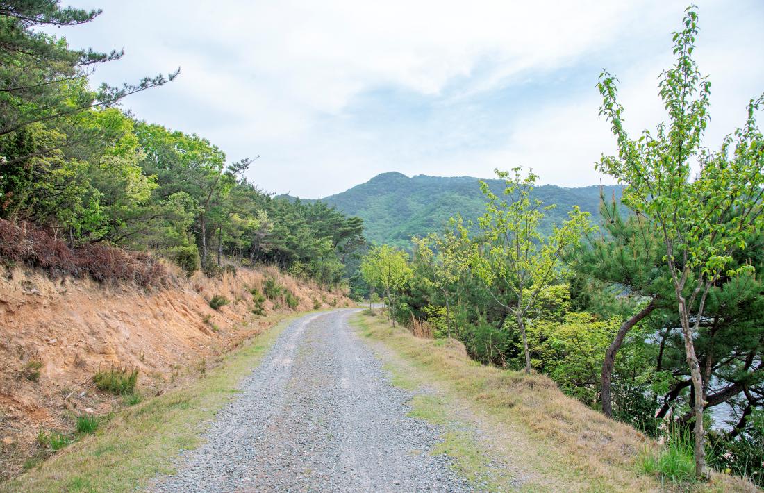 20250425_아홉산에서 바라본 회동호_10.jpg