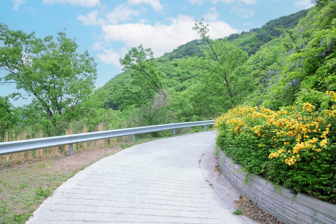 20250425_아홉산에서 바라본 회동호_3.jpg