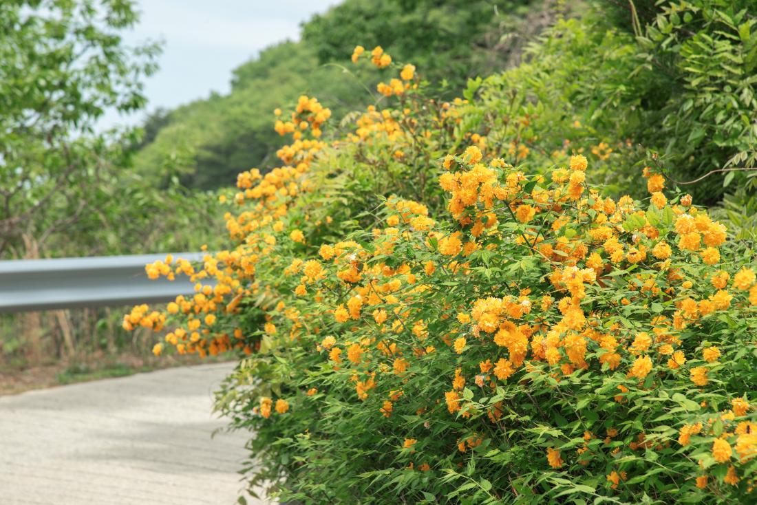 20250425_아홉산에서 바라본 회동호_5.jpg