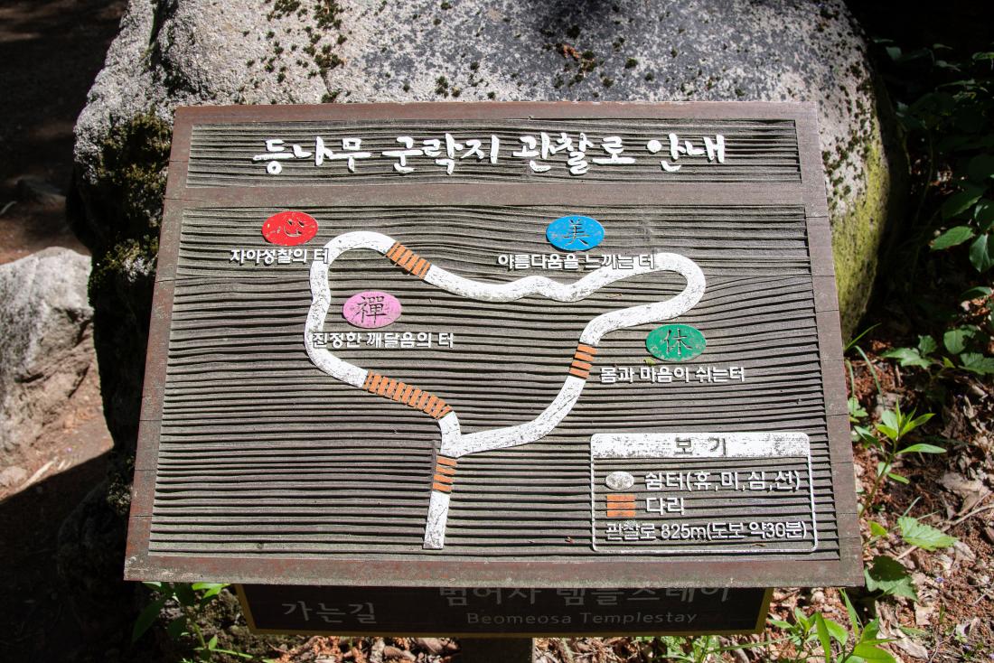 20250502_범어사 등나무 군락지_2.jpg