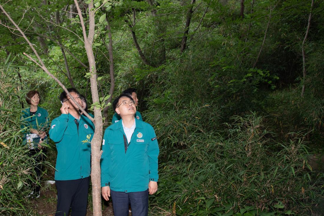 20250620_여름철 재해취약지 및 재해예방시설 현장 점검_17.jpg