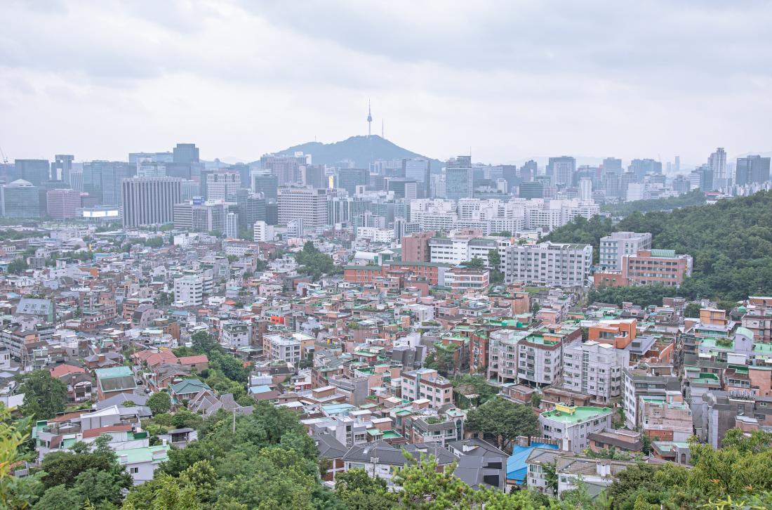 20250704_종로구 골목길탐방_7.jpg