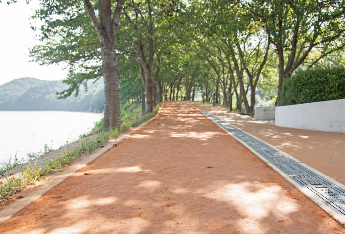 20250819_여울생태숲 황톳길_3.jpg