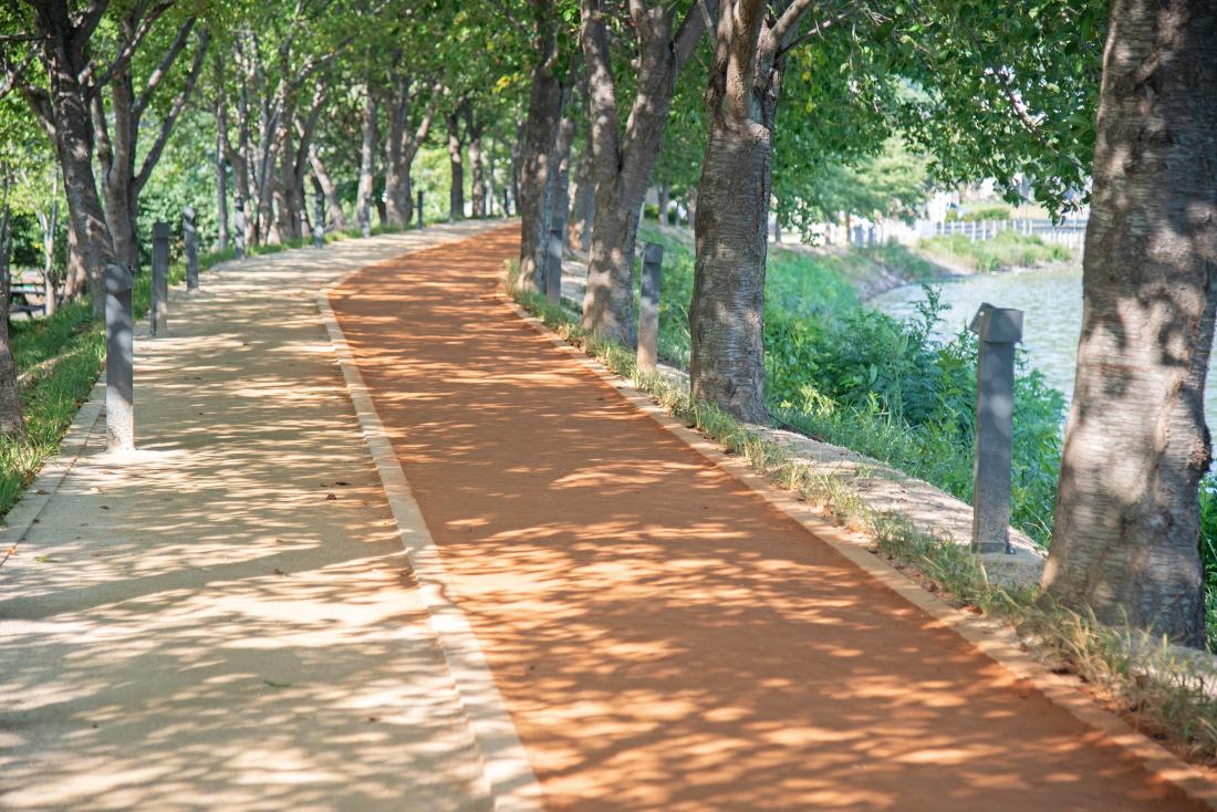 20250819_여울생태숲 황톳길_4.jpg