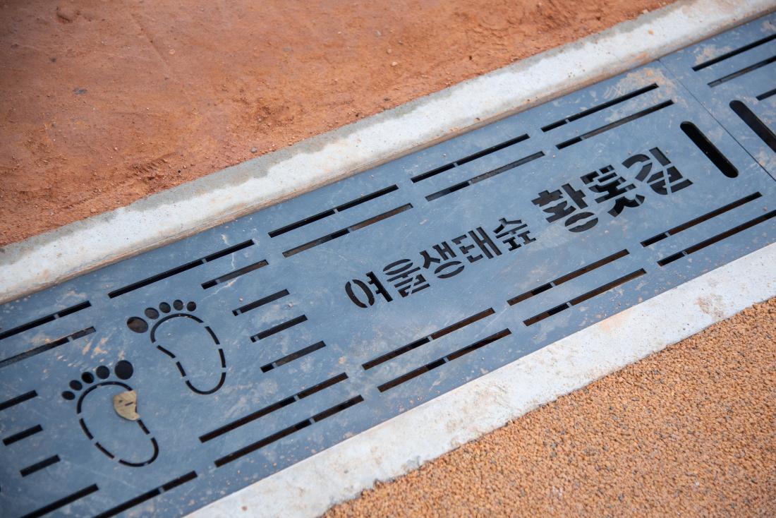 20250819_여울생태숲 황톳길_5.jpg