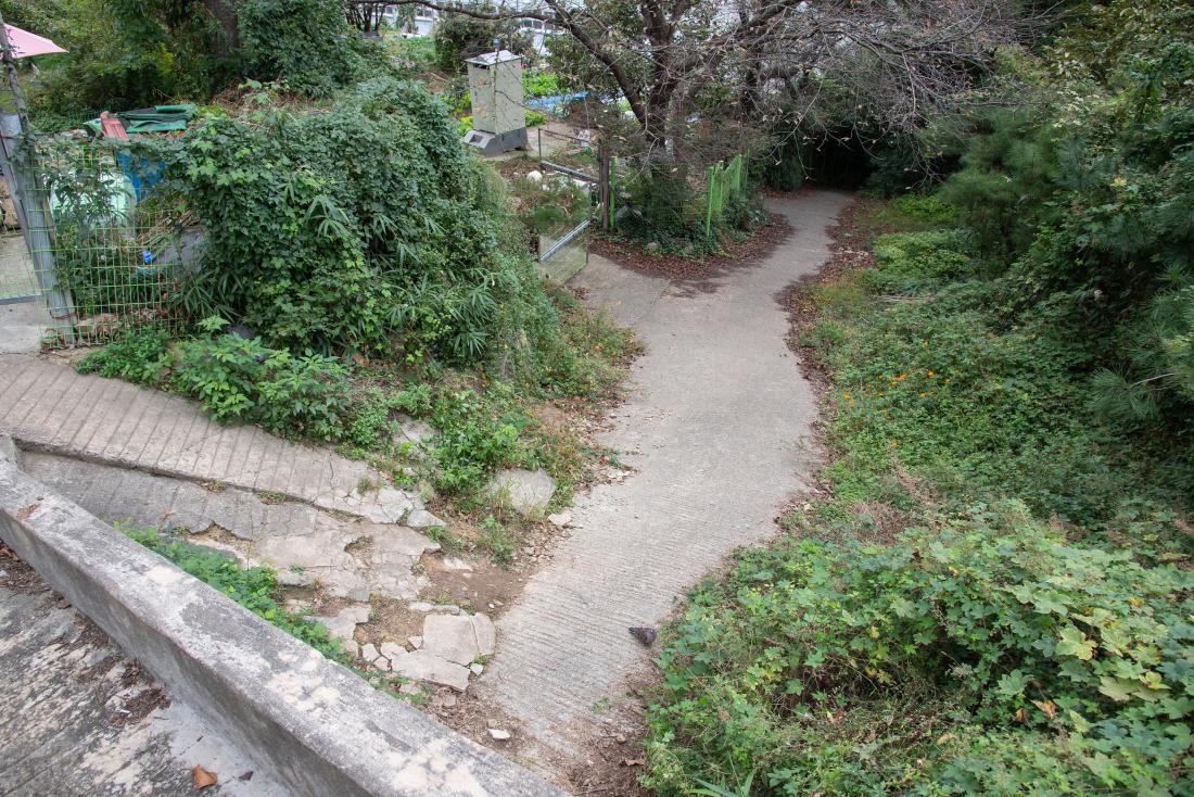 20251021_역점사업 현장 방문_36.jpg