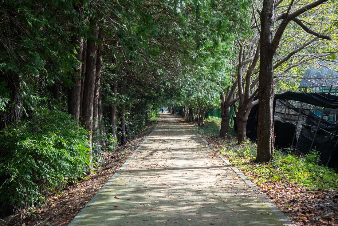 20251022_역점사업 현장 방문_22.jpg