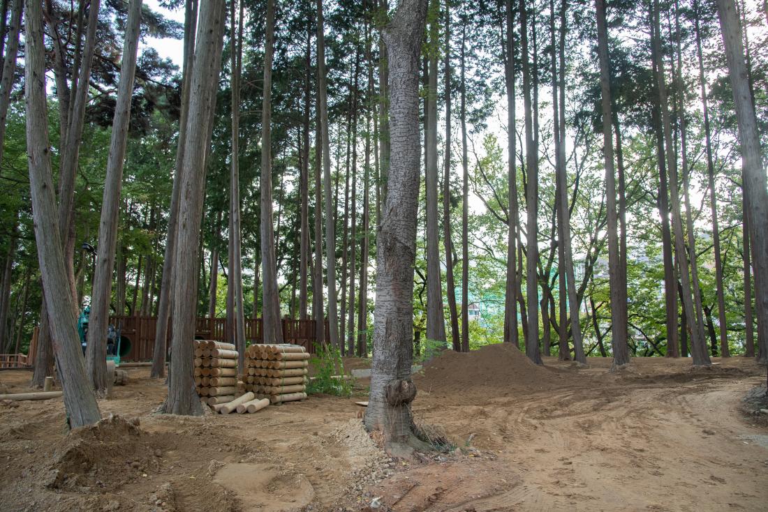 20251023_역점사업 현장 방문_16.jpg