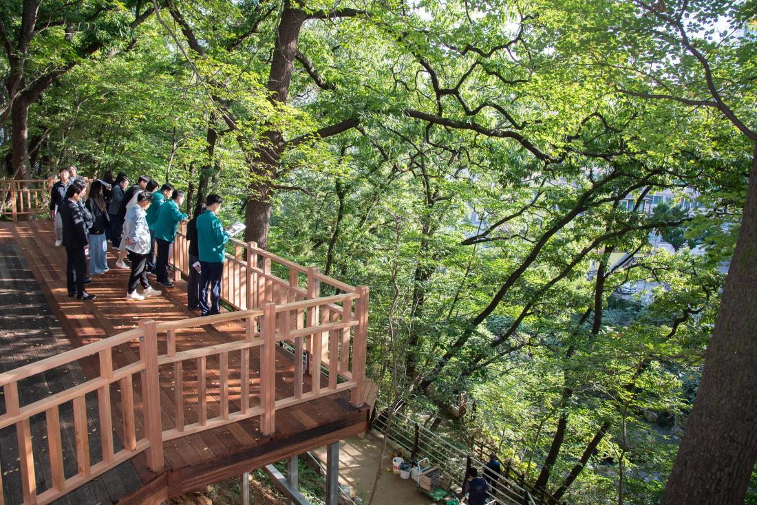 20251023_역점사업 현장 방문_12.jpg