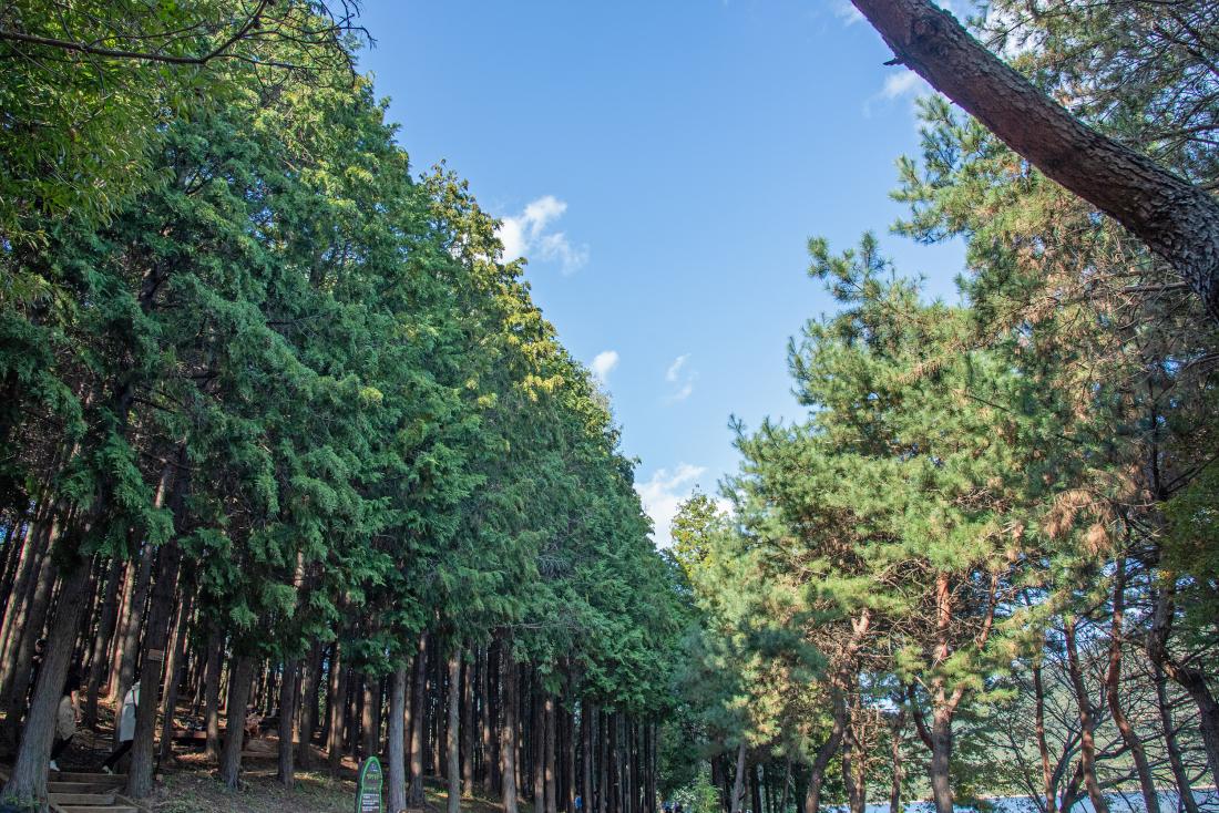 20251101_회동호가 신.이.나!_36.jpg