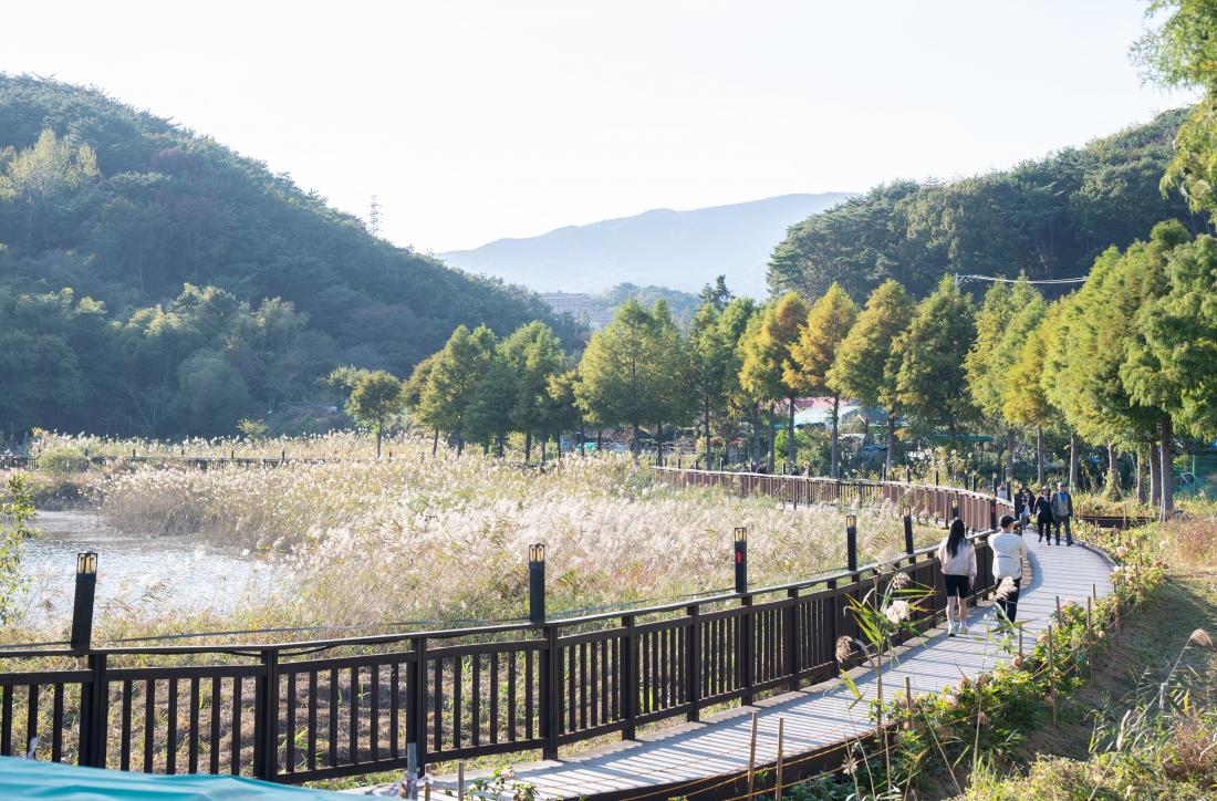 20251101_회동호가 신.이.나!_35.jpg