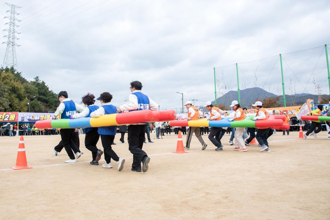 20251108_금정구민 한마음 체육대회-체육경기_11.jpg