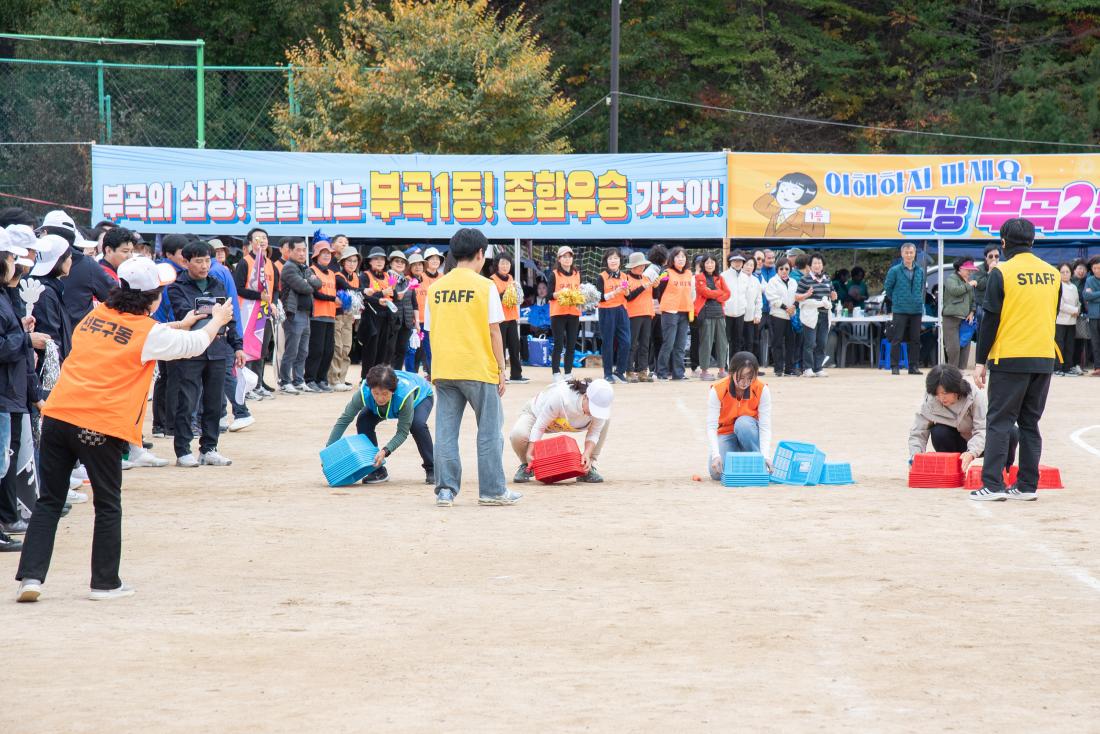 20251108_금정구민 한마음 체육대회-체육경기_40.jpg