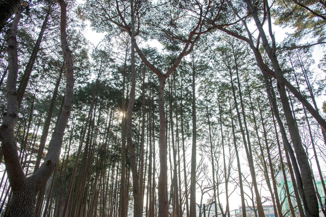 20260107_범어숲 라운딩_31.jpg