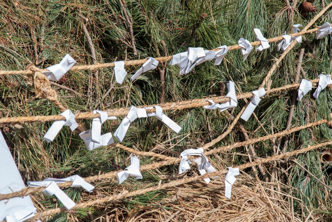 20260303_정월대보름 기원제 및 달집태우기_25.jpg