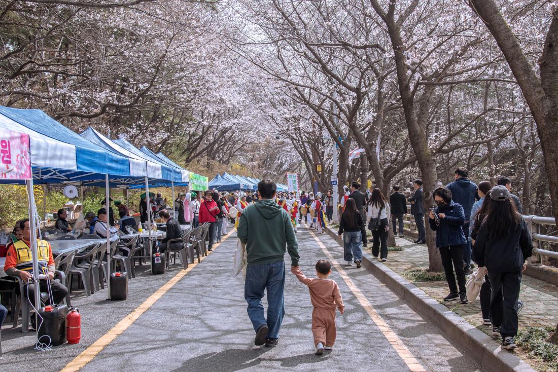 20260329_제8회 윤산벚꽃축제_16.jpg
