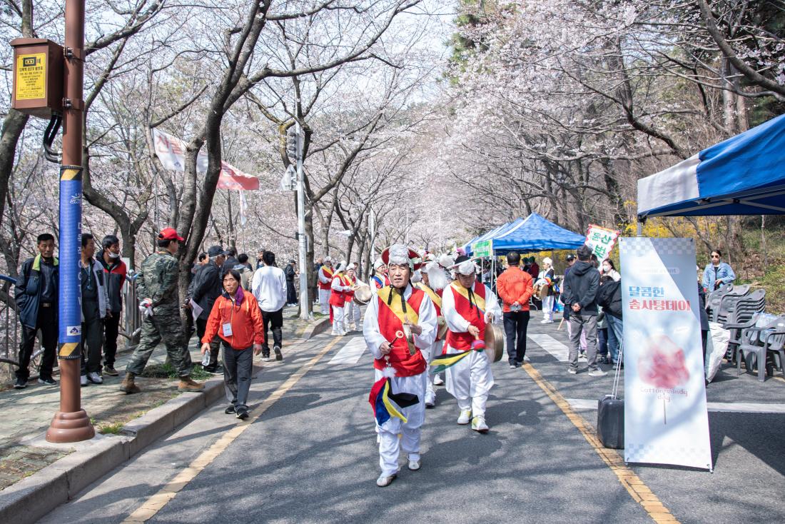 20260329_제8회 윤산벚꽃축제_15.jpg