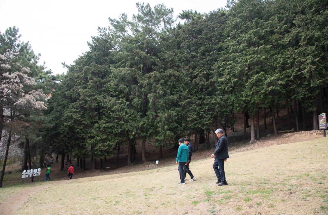 20260403_주요역점사업 현장방문_9.jpg