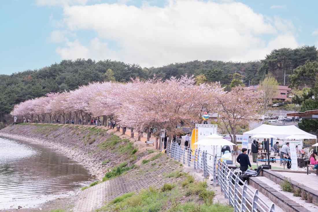 20260412_회동호가 신이나!_25.jpg