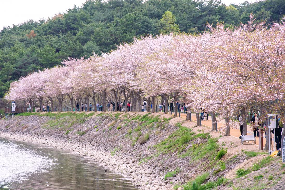 20260412_회동호가 신이나!_26.jpg