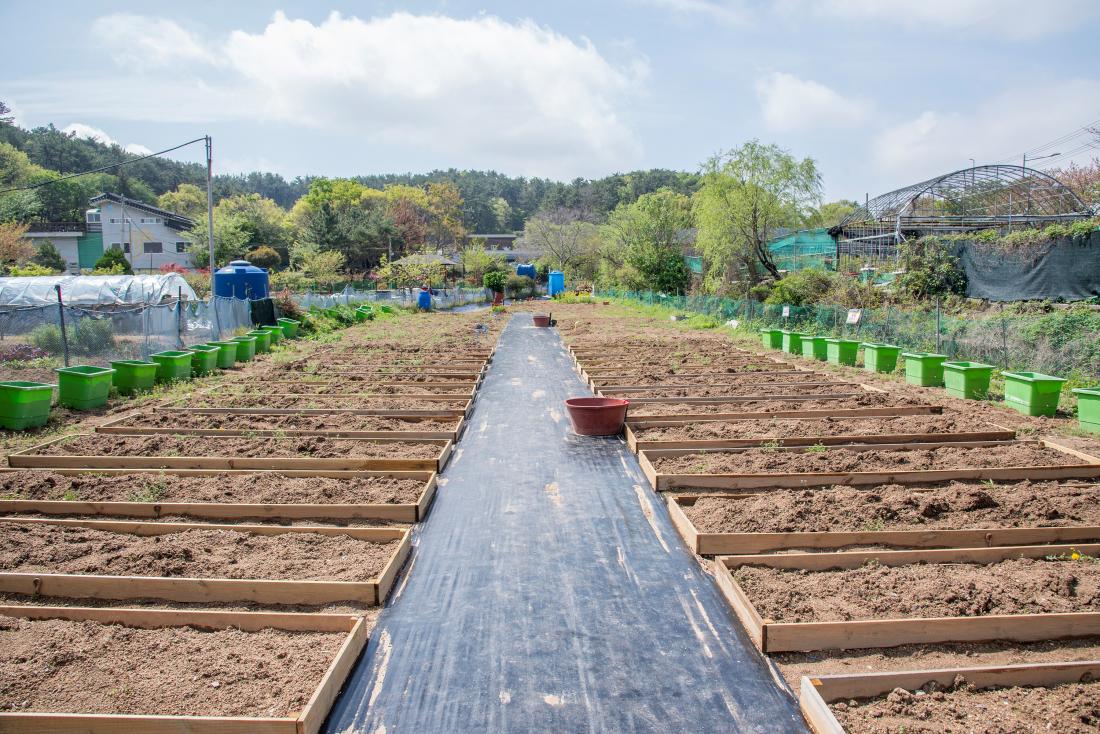 20260418_꼬마농부 텃밭체험학교 입학식_13.jpg